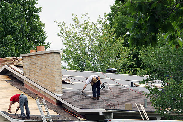 Best Roof Gutter Cleaning  in Willoughby Hills, OH